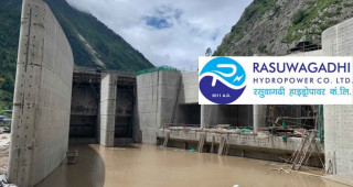 रसुवागढी हाइड्रो १ करोड ५३ लाख घाटामा