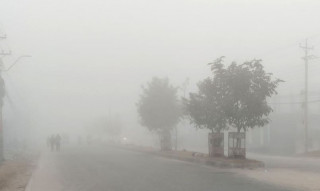चिसोले मुसहर बस्तीको जनजीवन कष्टकर