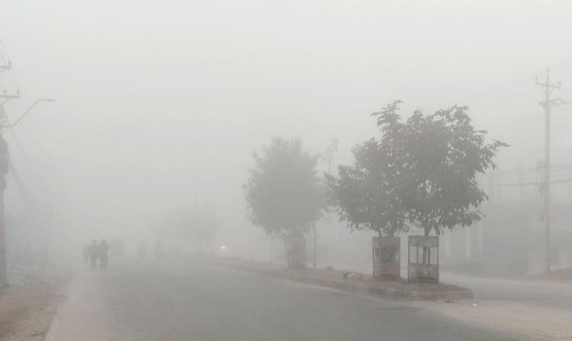 चिसोले मुसहर बस्तीको जनजीवन कष्टकर