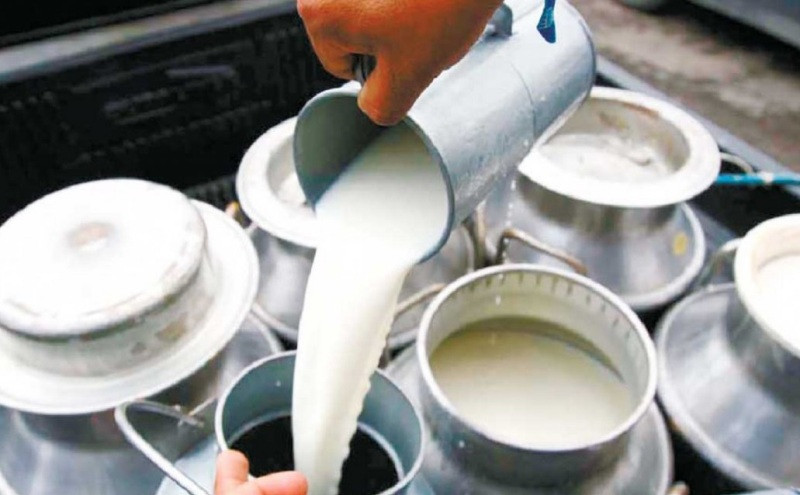 मधेश प्रदेशमा माछा र दूधको उत्पादन बढ्यो