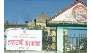 पर्सामा झाडापखालाको लक्षण देखिएका दुई जनाको मृत्यु